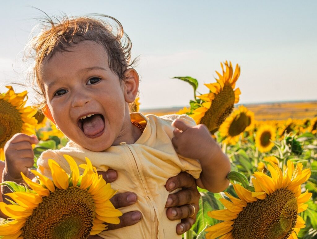Sunflower Festival Neighbours Farm